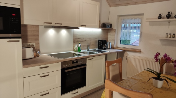 Küche mit Geschirrspülmaschine Mikrowelle